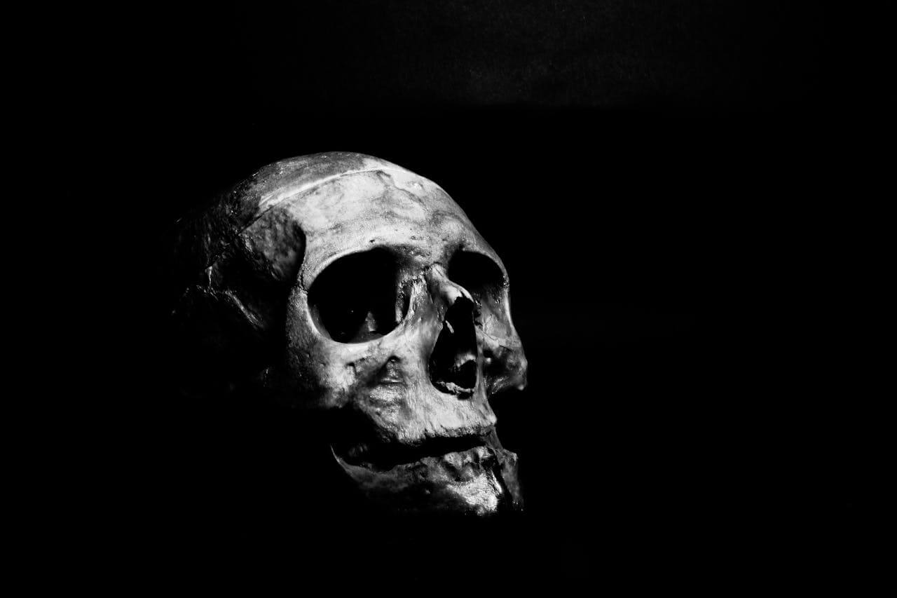shaded skull
